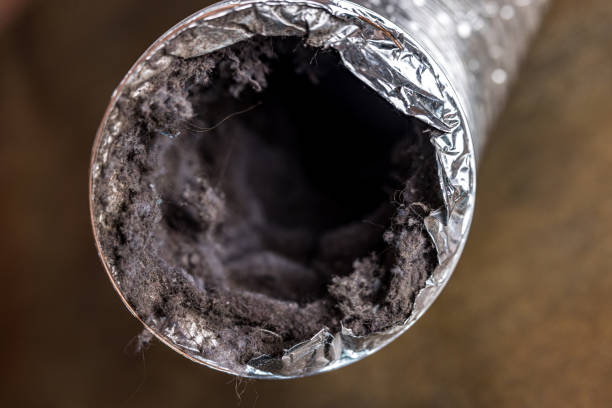Best Air Duct Cleaning Near Me  in Port Edwards, WI